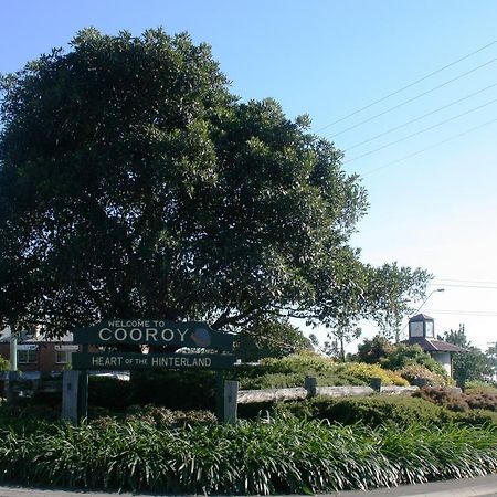 Cooroy Luxury Motel Apartments المظهر الخارجي الصورة