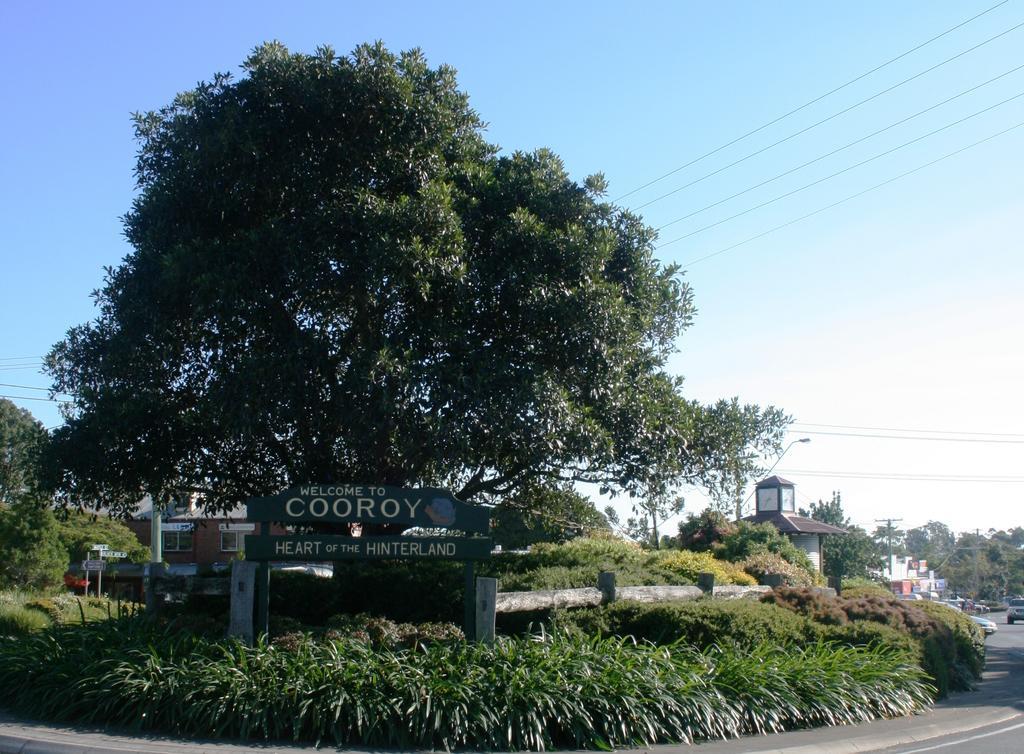 Cooroy Luxury Motel Apartments المظهر الخارجي الصورة